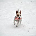 ���� Leonid, �����-���������, 39 ��� - ��������� 22 ����� 2012 � ������ ������