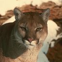 ���� �����, �������, 56 ��� - ��������� 12 ������� 2012 � ������ ���� ����������
