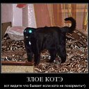���� ˸��, ����, 44 ���� - ��������� 26 ���� 2012 � ������ ������