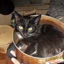 ���� �� ������� ���� ����������