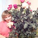 ���� �������, �����������, 49 ��� - ��������� 6 ������� 2012 � ������ ���� ����������