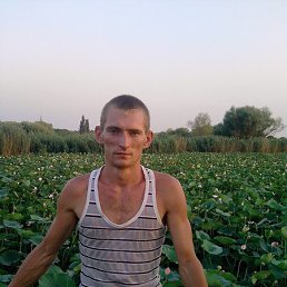 ���� ���������, ���������, 39 ��� - ��������� 8 ������ 2012