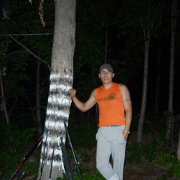 ���� �����, ���������, 44 ���� - ��������� 31 ���� 2012