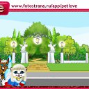  , , 46  -  3  2011   PetLove