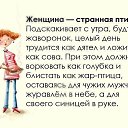 ���� �����, ������ ���, 40 ��� - ��������� 13 ��� 2013 � ������ ������ ��������