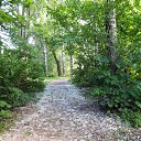 ��������� ��� �� ������� ����λ