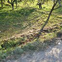 ���� Orest, ����, 65 ��� - ��������� 6 ������ 2013 � ������ ���� ����������
