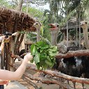 ���� �����, ����, 23 ���� - ��������� 1 ��� 2013 � ������ ���� ����������