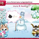   ()., , 24  -  29  2011   PetLove