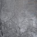 ���� ������, �����������, 65 ��� - ��������� 26 �������� 2011 � ������ �������� � �!�
