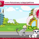  , , 43  -  19  2010   PetLove