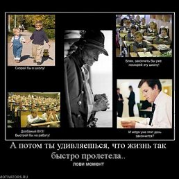 ���� �������, ������, 33 ���� - ��������� 30 ������� 2010