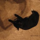 ���� ���������, ������ ��������, 46 ��� - ��������� 26 ������ 2009 � ������ ���� ��������: ��������