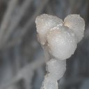 ���� Svetlana, ������, 59 ��� - ��������� 29 ������ 2011 � ������ ����������� ����������� 2011�