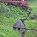 ���� Alois, ������ - ��������� 26 ������ 2012