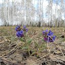 ���� �������!, �������������, 42 ���� - ��������� 9 ��� 2013 � ������ ���� ����������