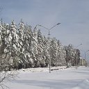 ���� �����, �����������, 68 ��� - ��������� 18 �������� 2011