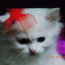 ���� �������, �������� - ��������� 22 �������� 2012 � ������ ����� ��������-������...�