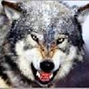 ���� �������, �������������� - ��������� 7 ������� 2012 � ������ ���� ����������