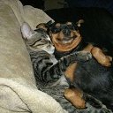 ���� Beso, �������, 50 ��� - ��������� 11 ������� 2012