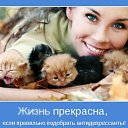 ���� �������, ������ - ��������� 15 �������� 2012 � ������ ����������!!!�