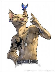 ���� ����, ������������, 37 ��� - ��������� 1 �������� 2011