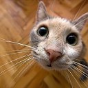 ���� ����, �����-���������, 49 ��� - ��������� 29 ������ 2012 � ������ ���� ����������