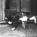 ���� ��������, ��������������� - ��������� 9 ������ 2012 � ������ �������