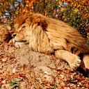 ���� Vlad, ����, 55 ��� - ��������� 11 ����� 2012 � ������ ���� ����������
