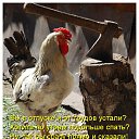 ���� Ivan, ������ - ��������� 24 ������ 2011 � ������ �������