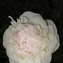 ���� Karapuz, ������ - ��������� 30 ������� 2010 � ������ ���������