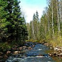 ���� ���������, ���������, 59 ��� - ��������� 28 ���� 2011 � ������ ��������