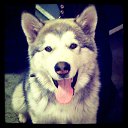 ���� ̸�����, ������, 49 ��� - ��������� 29 ������� 2012 � ������ ���� ����������