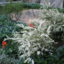 ���� �������, ������������ - ��������� 9 ��� 2012 � ������ ���� ����������