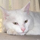 ���� ������, ������������, 51 ��� - ��������� 13 ������ 2010 � ������ ������� �������� �� ����..�