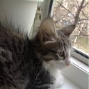 ���� Ferro, ��� - ��������� 4 ��� 2011 � ������ ���������