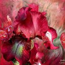 ���� �������, ������ - ��������� 21 ������ 2012 � ������ ���������