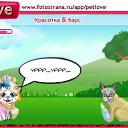  , , 31  -  16  2010   PetLove