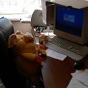  ,  -  5  2011    