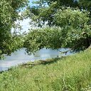  , , 69  -  29  2013    ...