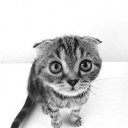 ���� �������, ������, 41 ��� - ��������� 28 ��� 2013 � ������ ���� ����������