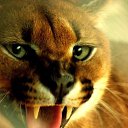 ���� Aska, ���� - ��������� 18 ���� 2013 � ������ ��������� ��������.�