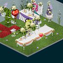 ���� �����, ������ ���, 23 ���� - ��������� 10 ���� 2013 � ������ �Tropikania�