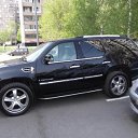  Andrey, , 43  -  20  2012