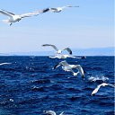 ���� ����, ����������� - ��������� 3 ������ 2012 � ������ �������