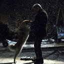 ���� Sem, ������, 43 ���� - ��������� 19 ���� 2013 � ������ ������ ��������