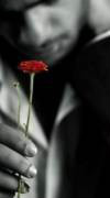 ���� �����, �����-���������, 47 ��� - ��������� 13 ����� 2012 � ������ �Avataria�