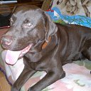 ���� ������, ������, 40 ��� - ��������� 15 ��� 2012