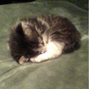 ���� �����, ������ ��������, 56 ��� - ��������� 25 ������ 2012 � ������ �RoadKing�