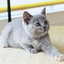 ���� ������ ~������~, ��������, 37 ��� - ��������� 24 ������� 2011 � ������ ��������